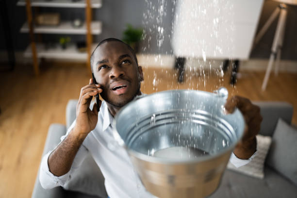 Best Sewage cleanup and water damage restoration  in Rowlett, TX