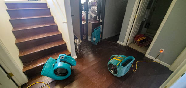 Best Water damage restoration near me  in Rowlett, TX