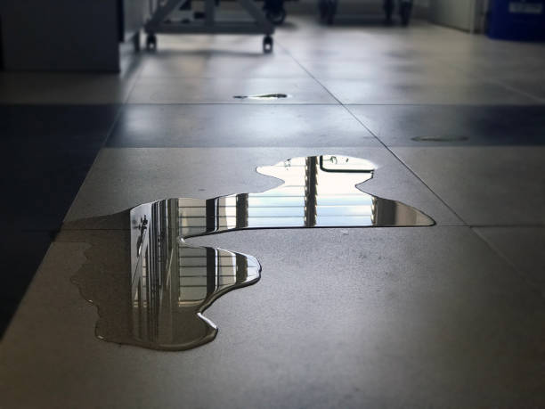 Best Water damage cleanup near me  in Rowlett, TX