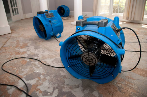 Best Flood damage cleanup  in Rowlett, TX
