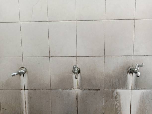Best Ceiling water damage repair  in Rowlett, TX