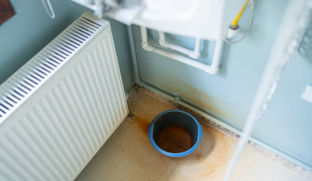 Best Carpet water damage restoration  in Rowlett, TX