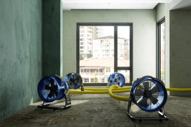 Best Water damage restoration near me  in Rowlett, TX