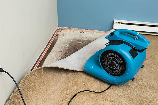 Best Water damage repair service  in Rowlett, TX